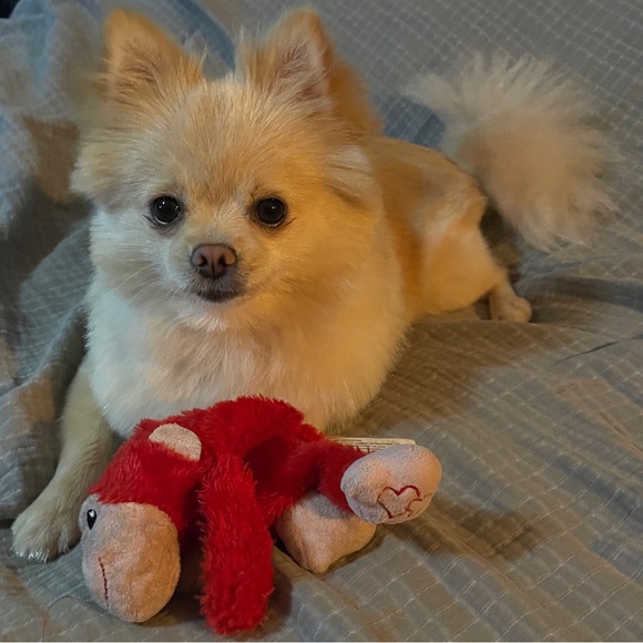 Meet your Posher, Heather - Picture 3 of 3